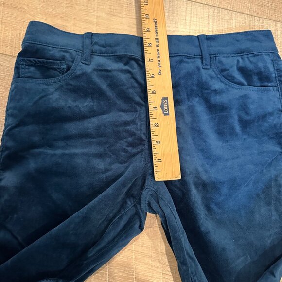 LOFT WOMENS BLUE VELOUR PANTS NEW 8 PETITE NEW - Picture 5 of 10